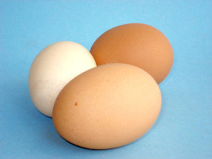chicken-eggs-2-FI SC