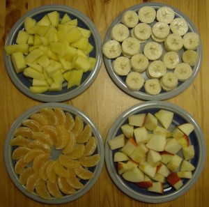 fruit-plates-FI SC