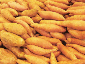 sweet potatoes FI SC