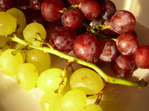 grape-FI SC
