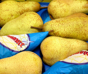 italian-pears-FI 2n C